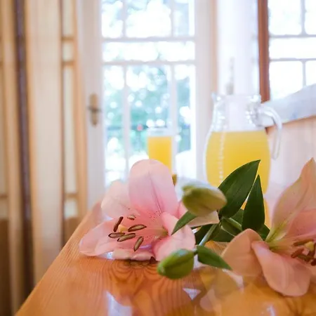 Pansion Filoxenia & 4* Tsoukaládhes