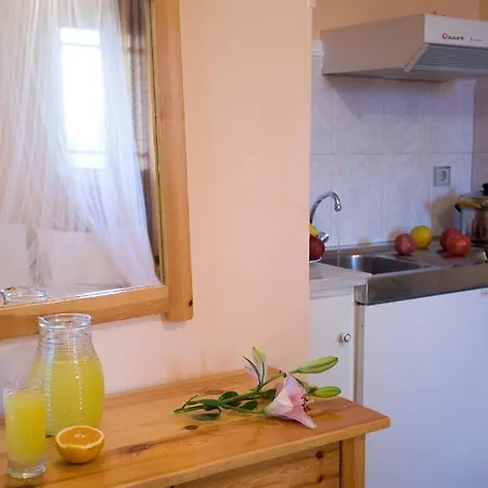 Pansion Filoxenia & Lejlighedshotel Tsoukaládhes